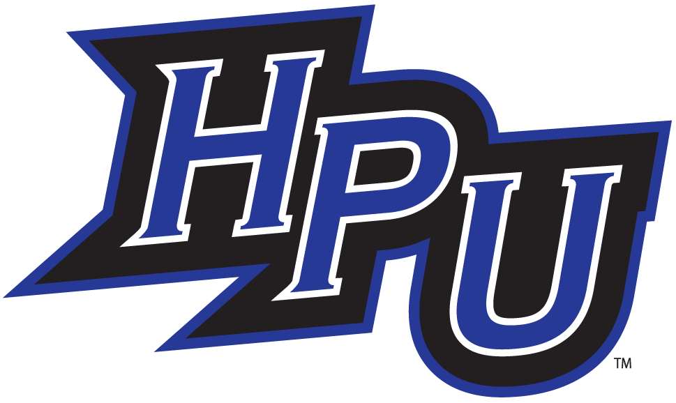 High Point Panthers 2004-2011 Alternate Logo v4 DIY iron on transfer (heat transfer)